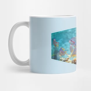 Anthias | Colorful bustle in coral reef | Mug